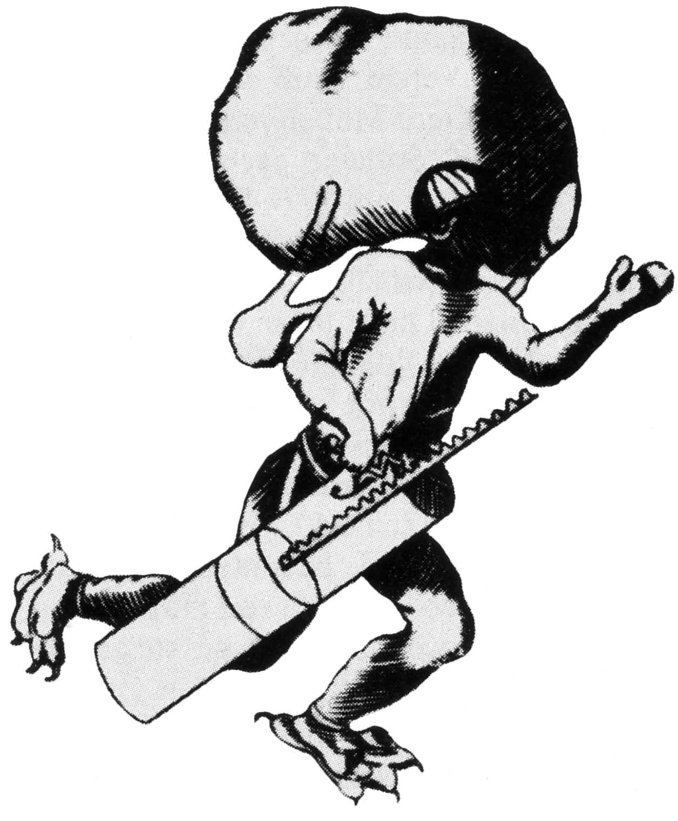 1679-borelli.jpg (454938 Byte)