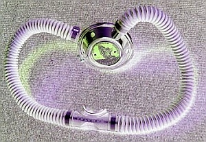 Colombo von Ringli, Z�rich, Schweiz