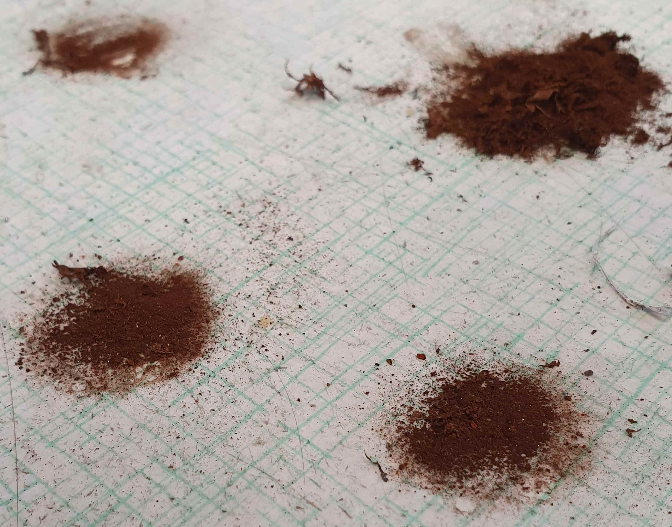 rost-pulver.jpg (1947635 Byte)