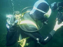 Frank mit Matter-Regler