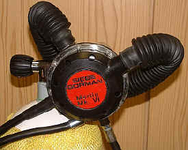 Merlin komplett an der Flasche