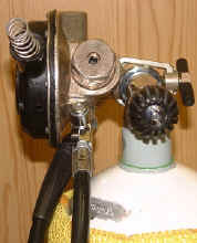 Merlin von der Seite