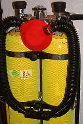 Mein tief gehängter Royal Mistral