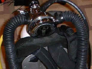 Eingeklemmtes Wing an der R�ckenplatte