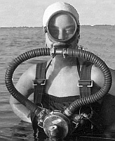 Lawsonlung aus Australien