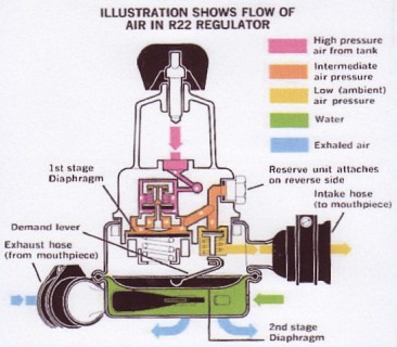 Voit R22 Trieste Querschnitt, MD-Anschluss