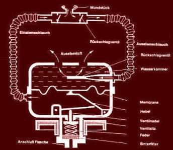 2zweichlauch-1stufe.jpg (29813 Byte)