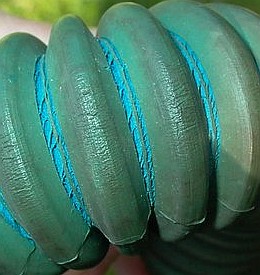 Rissige Faltenschl�uche