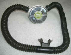 voit-lung2.jpg (58994 Byte)